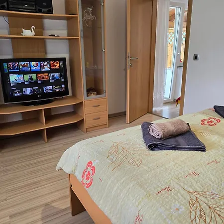 House Near The Soca River *